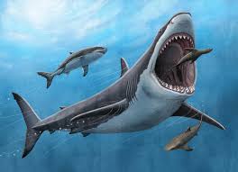 Megalodon In Action.
