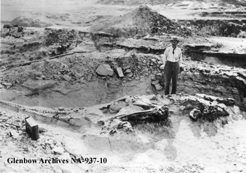 A paleontology expedition during the early 20th century.