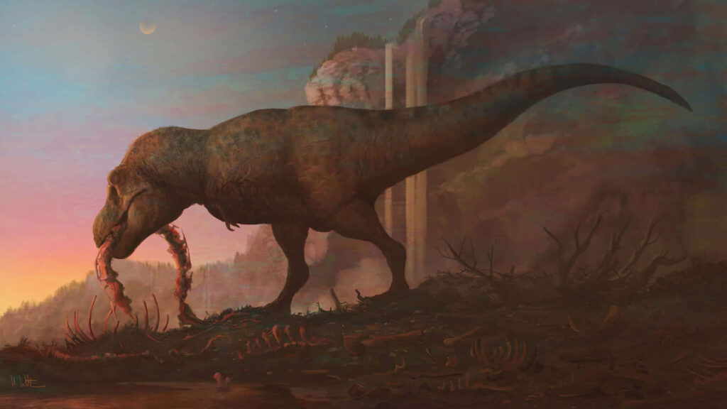 A Tyrannosaur Rex feeding at dusk. Common routine for an apex predator